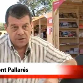 Vicent Pallarés i la seua literatura